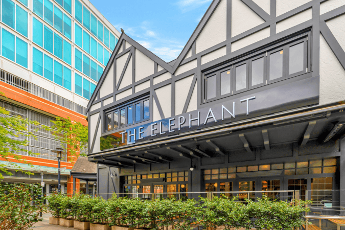 Best Sports Bars in Adelaide - The Elephant British Pub