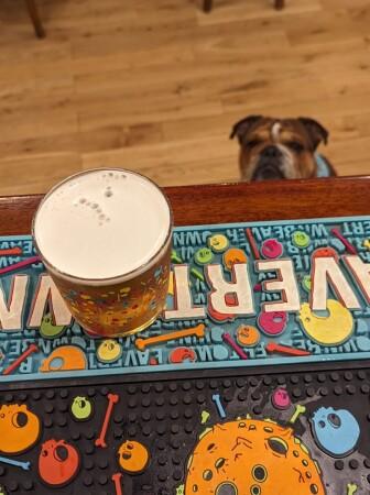 Best Sports Bars in Bristol - The Jersey Lily