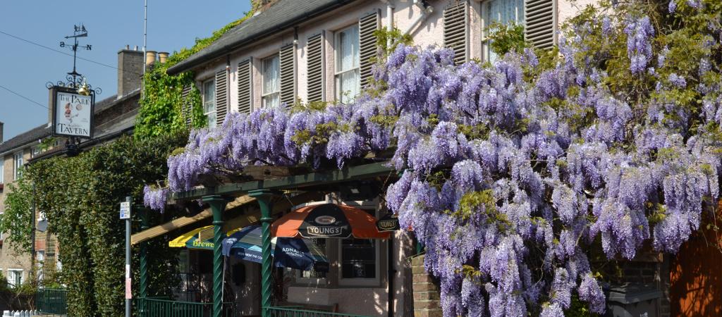 Best Sports Bars in Kingston upon Thames - Park Tavern