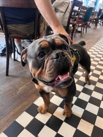 Best Sports Bars in Worthing - Thieves' Kitchen (Worthing)