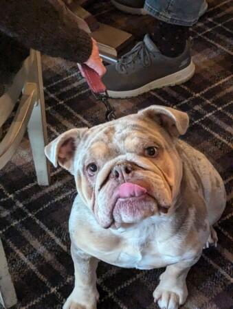 Best Sports Bars in Abingdon - College Oak (Abingdon)