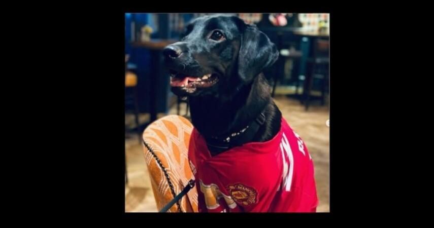 Best Sports Bars in Berkhamsted - Boat