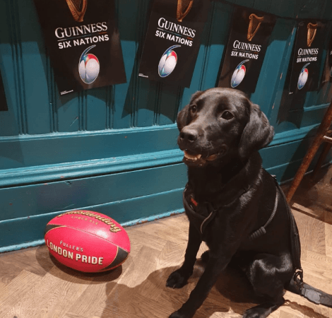 Best Sports Bars in Berkhamsted - Boat