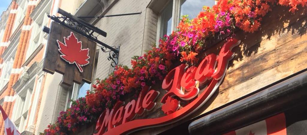 Best Sports Bars in London - Maple Leaf
