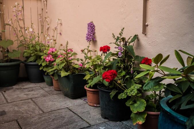 Best Sports Bars in Wrington - Golden Lion