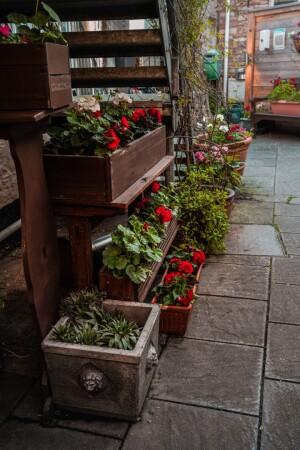 Best Sports Bars in Wrington - Golden Lion