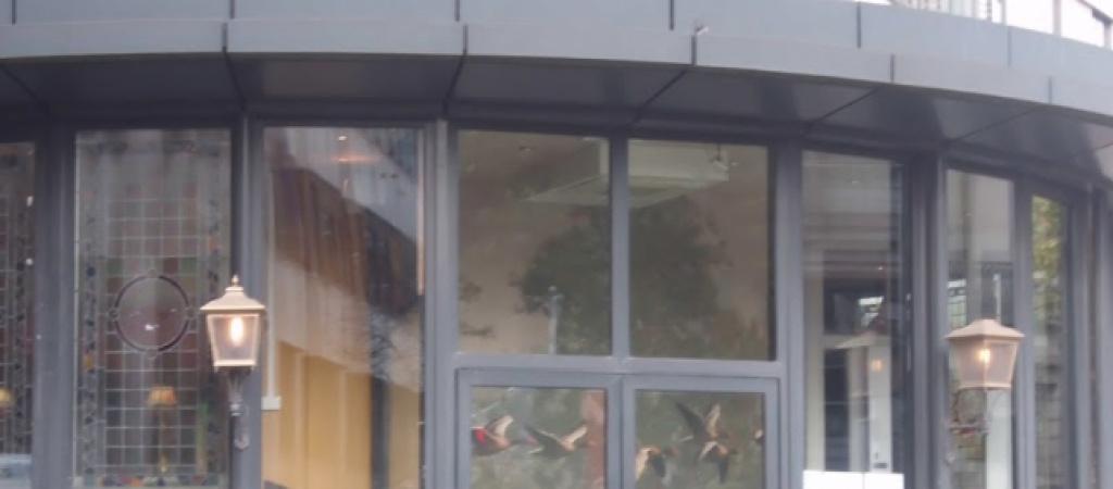 Best Sports Bars in Brussels - The Wild Geese