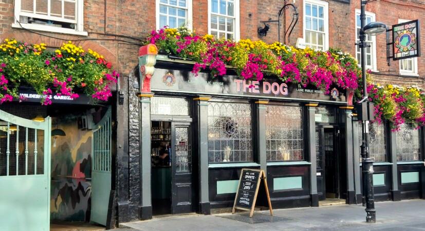 Best Sports Bars in Croydon - The Dog
