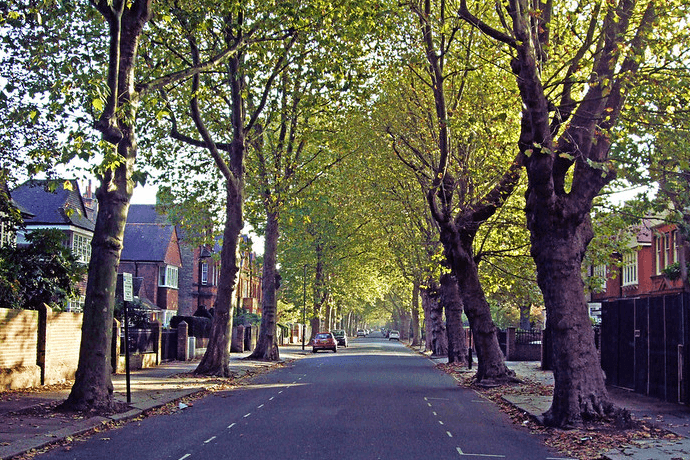 Chiswick boasts cosy and stylish sports bars, perfect for enjoying live games with a great selection of drinks and food in a relaxed setting.